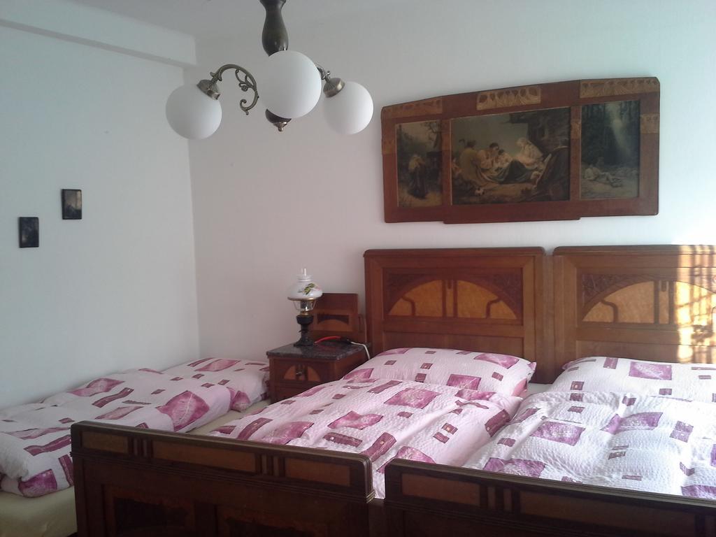 Vila Patricie Luhačovice 객실 사진